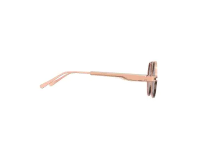 Pink Brow Sunglasses 3D model