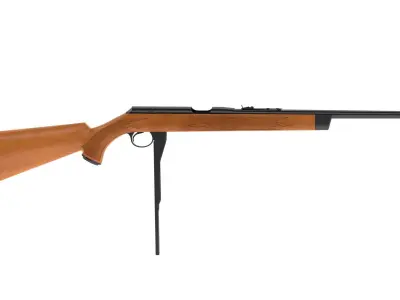 Daisy VL 3D model