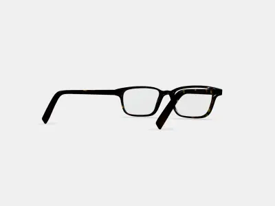 Crane Eyeglasses in Whiskey Tortoise 3D model