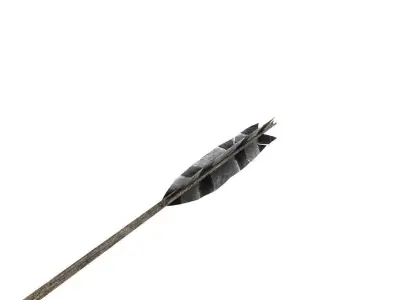 Arrow wooden spear 3D model