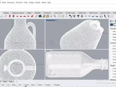 Decorated Clay Water Bottle  3D print model