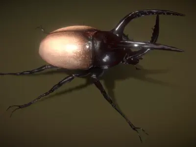 Rhino Beetle Fighting  Low-poly 3D model