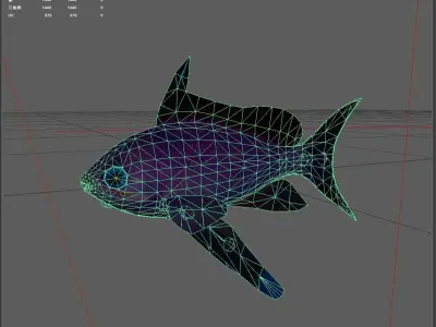 Serranidae Low-poly 3D model get