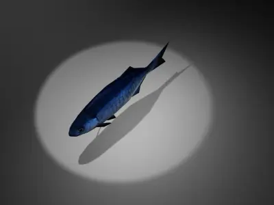 Blue perch Low-poly 3D model
