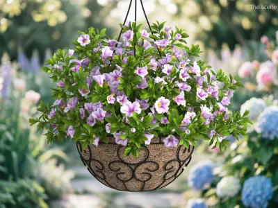 Petunia Hanging Basket Light Purple 3D model