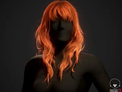 Real-time&nbsp;Hair&nbsp;model&nbsp;Female&nbsp;long 1 3D model