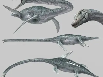 Dino Bonus Pack 8K - fully animated 3D model