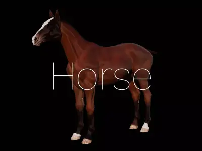 Horse Free low-poly 3D model