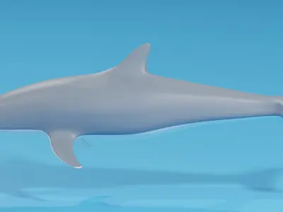 Cartoon Dolphin 3D model buy