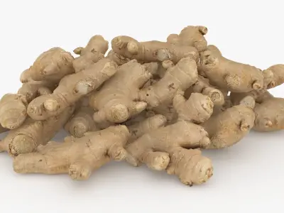 Pile Fresh Ginger Root 3D model