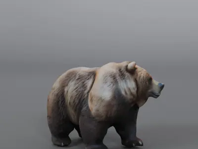 brown bear 3D model