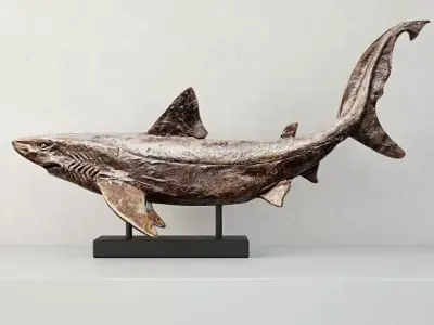 Relief of a Swimming Shark 3D model
