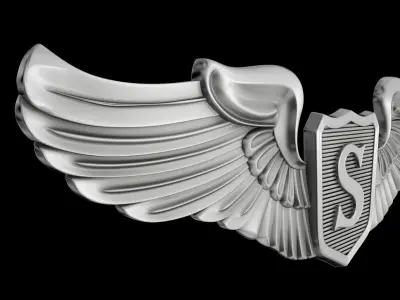 USAAF Service Pilot Wings Badge 3D model