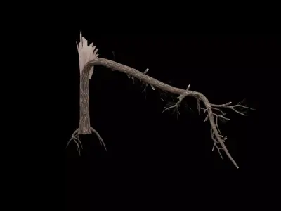 Realistic Snag Tree Low-poly 3D model purchase