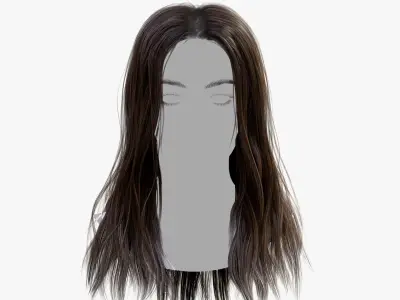 Womans Hair with Eyelashes and Eyebrows 3D model