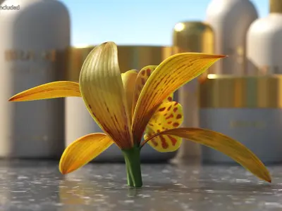  Orchid Flowers Collection 