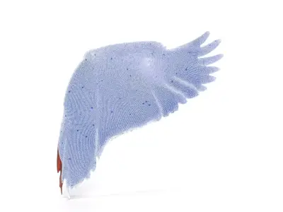 Majestic Brown Feathered Wing model pack Low-poly 3D model