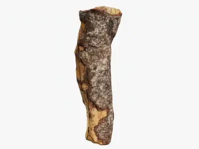 Scanned Tree Wood 11 3D model