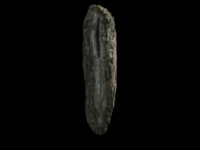 Anydrafts Salix matsudana Burl 11 Low-poly 3D model