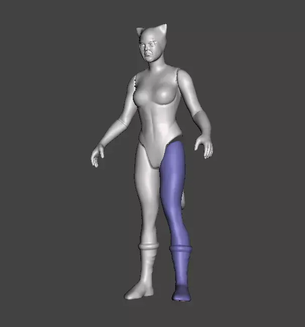 STL File 3D Super Powers Cat Woman 3D print model 3D print model purchase