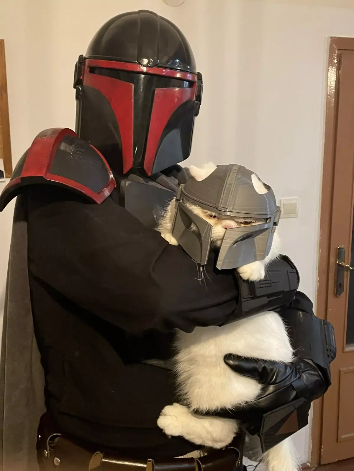 Mandalorian Cat Helmet 3D print model purchase