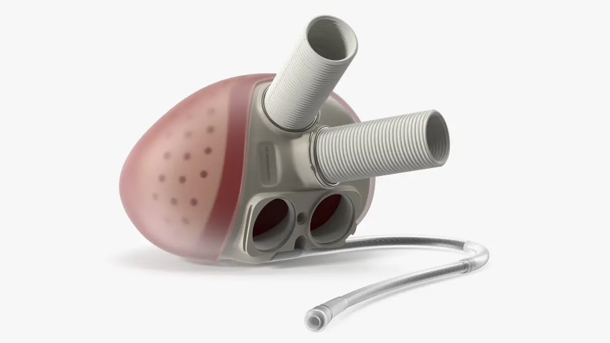 Biventricular Mechanical Heart Device with Flexible Cannula 3D model