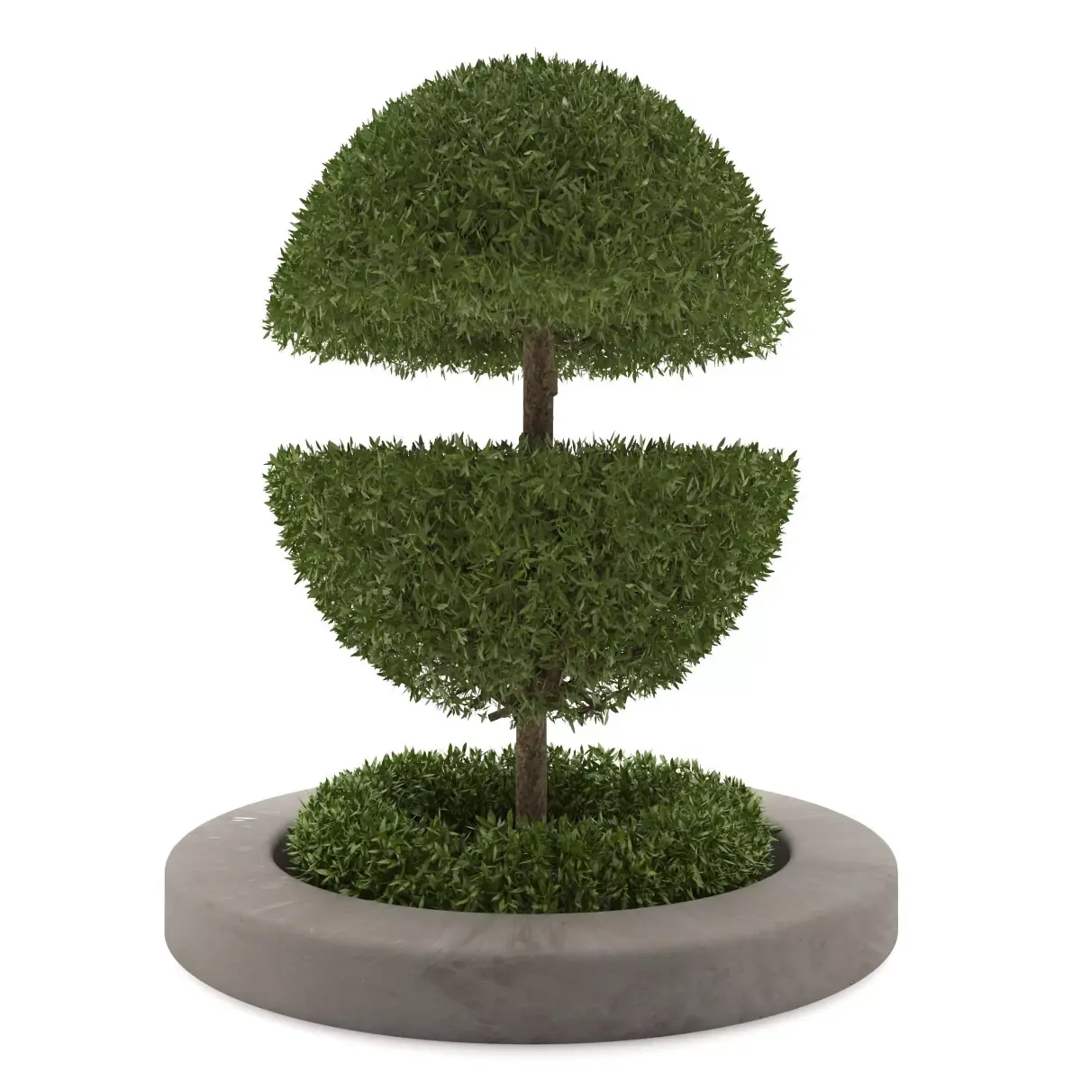 Outdoor bush Free 3D model