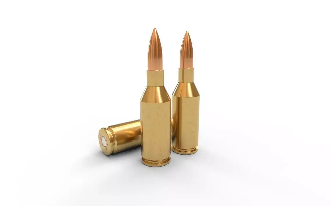 25 Winchester SSSM Ammo Low-poly 3D model