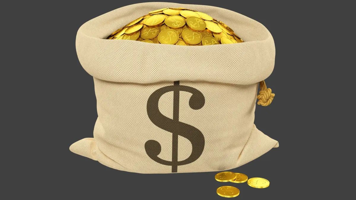 Bag of Coins V1 3D model