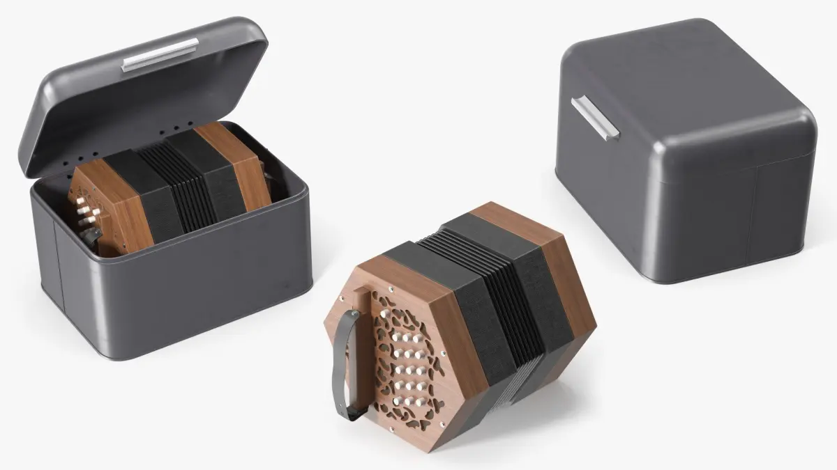 Concertina Accordion in Case 3D model