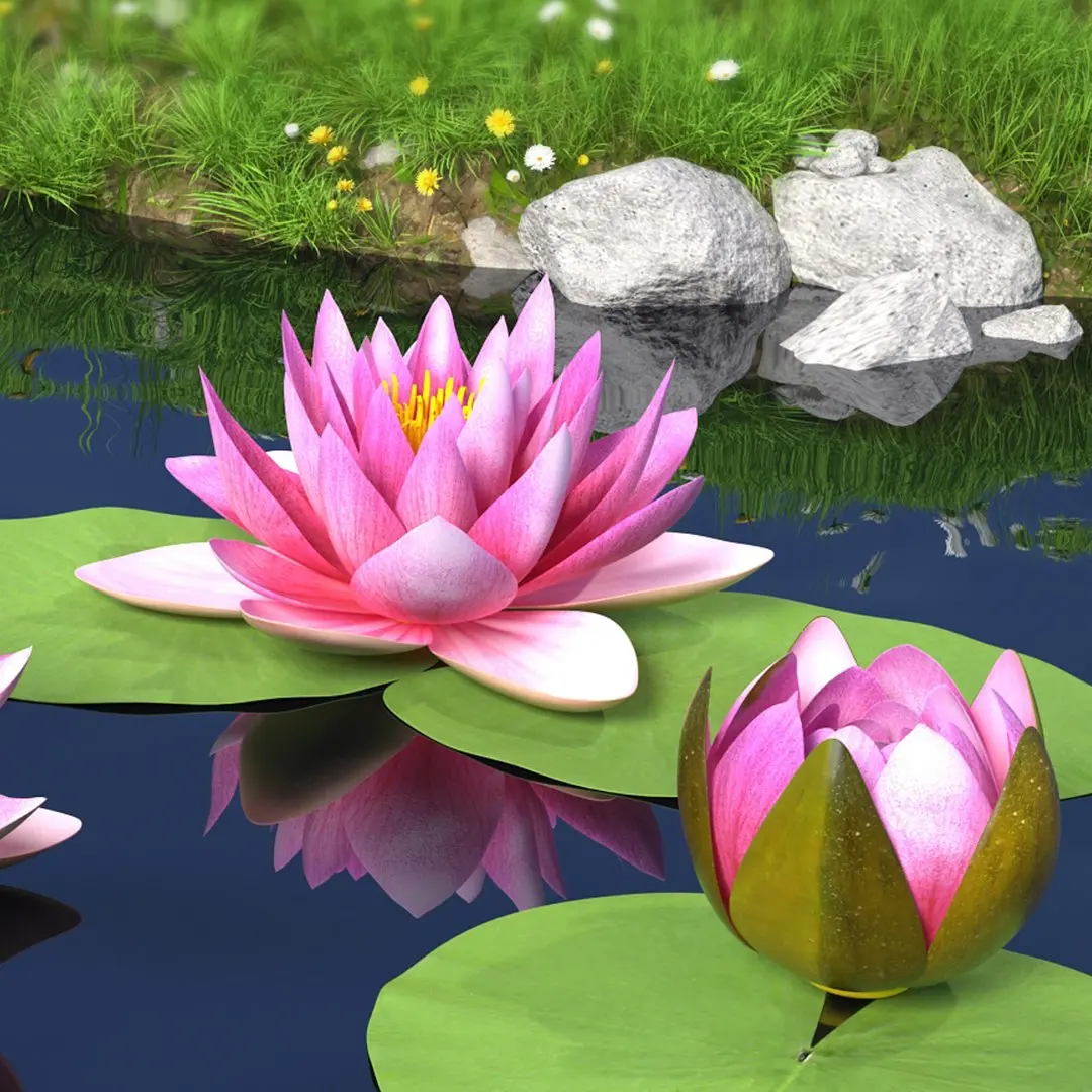 Nymphaea Siam Purple Leaf Set 3D model