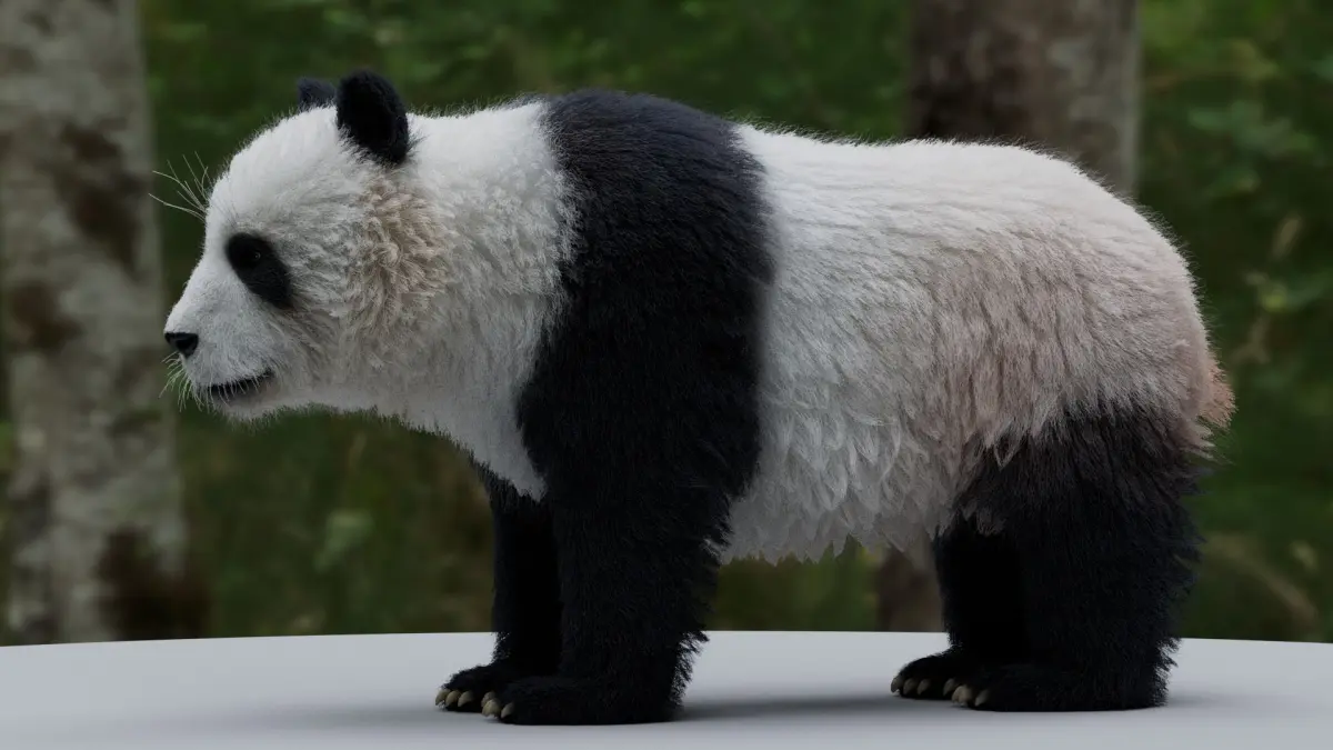 Panda 3D model 3