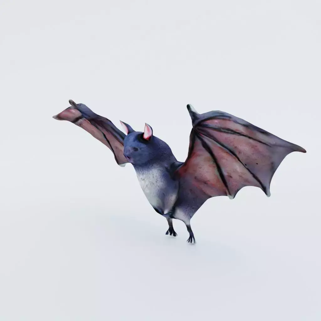 Bat Animal Free 3D model purchase