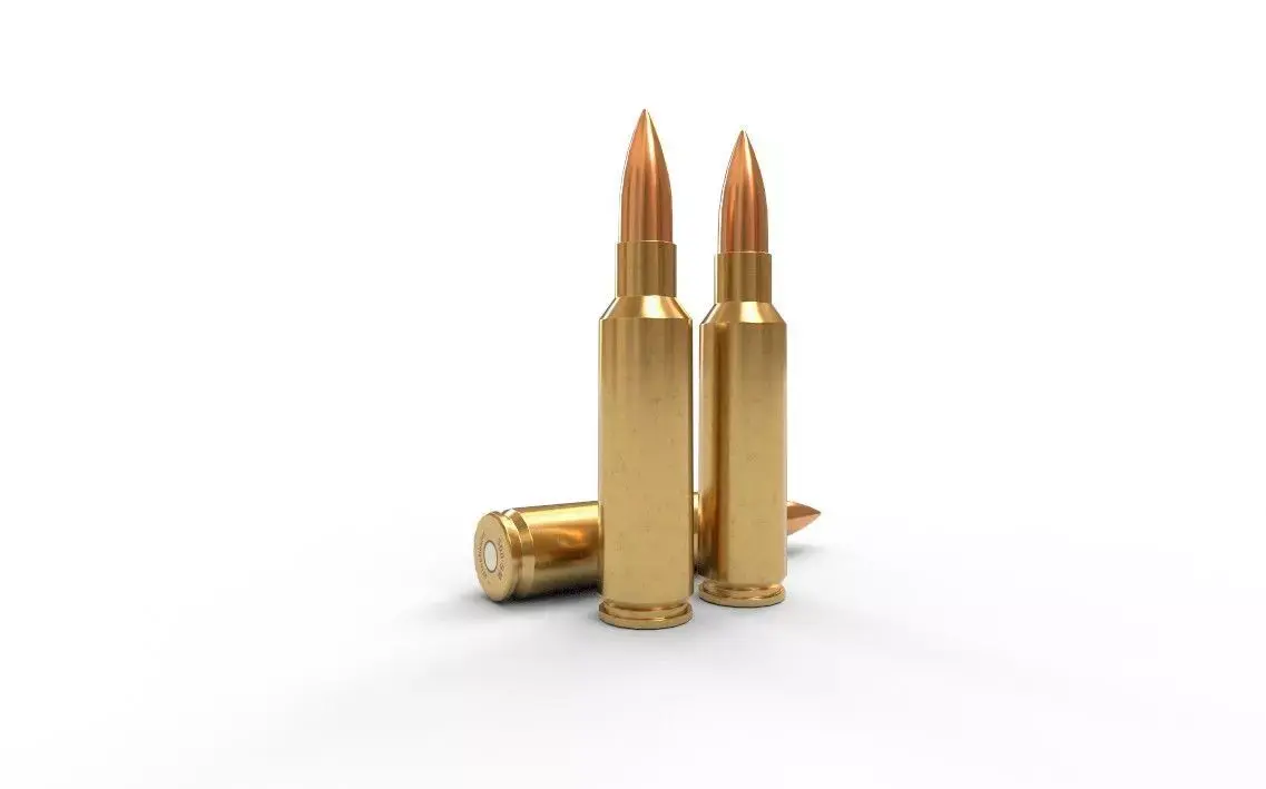 300 Winchester SM Low-poly 3D model