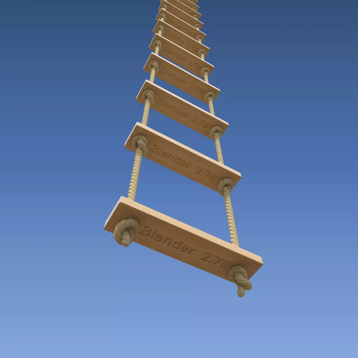 Rope Ladder 3D model buy