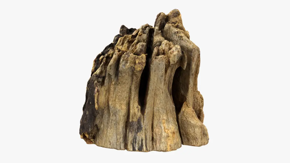Tree Trunk Piece 14 3D model