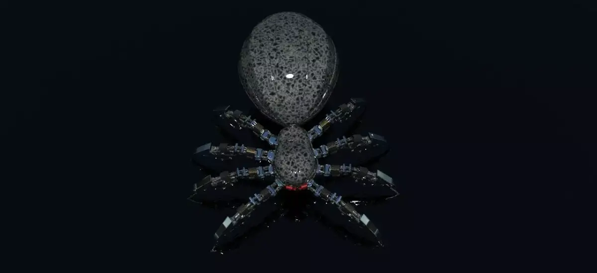 Spider 3D model 36