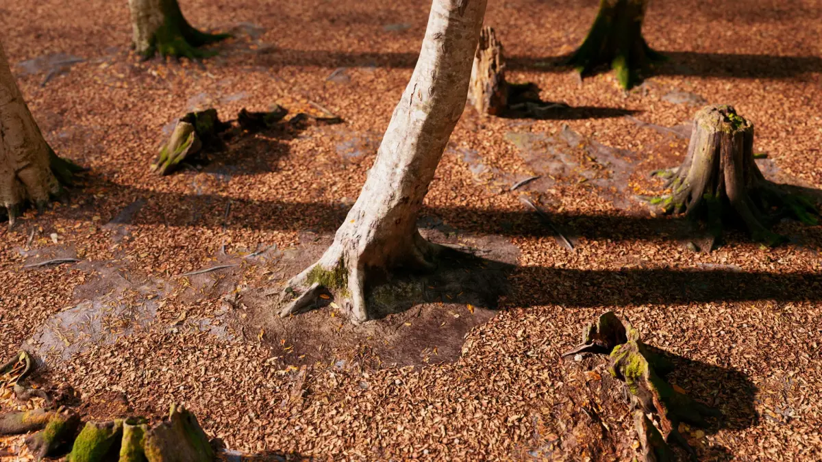 European Beech 06 3D Scanned Animated 3D model