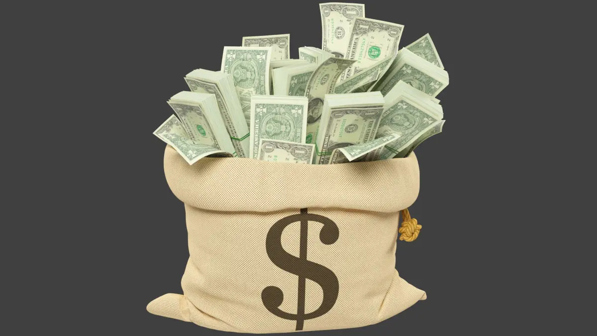Money Bag V20 3D model