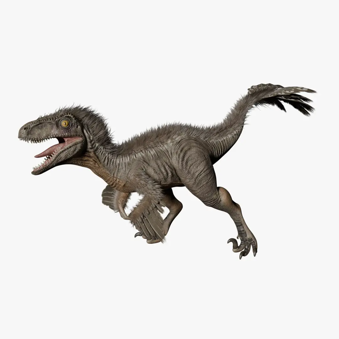 Deinonychus rigged(1) 3D model