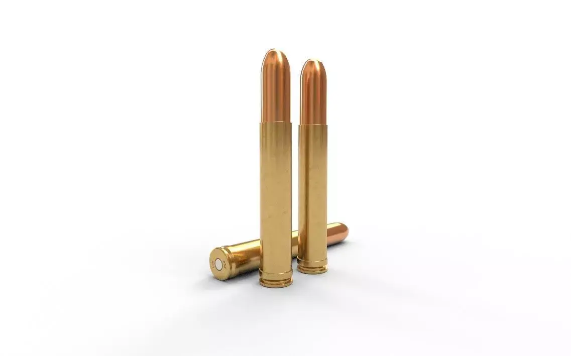 458 Lott Ammo Low-poly 3D model
