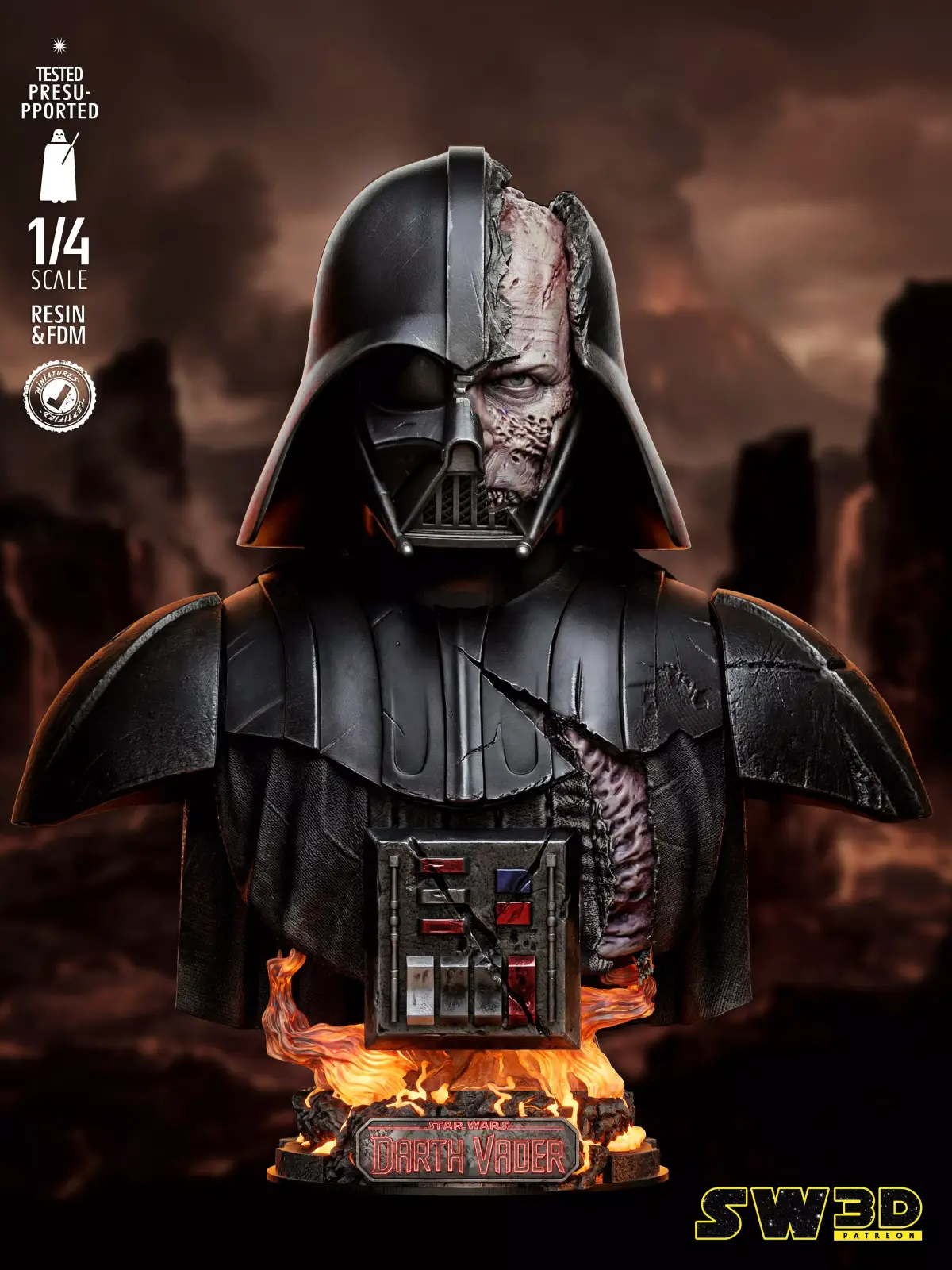  STAR WARS Darth Vader Batlle Damage Portrait Bust  3D print model