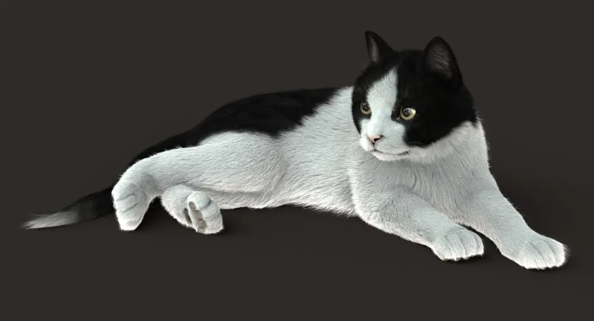 Cat (2) (B&amp;W) (RIG) (FUR) 3D model