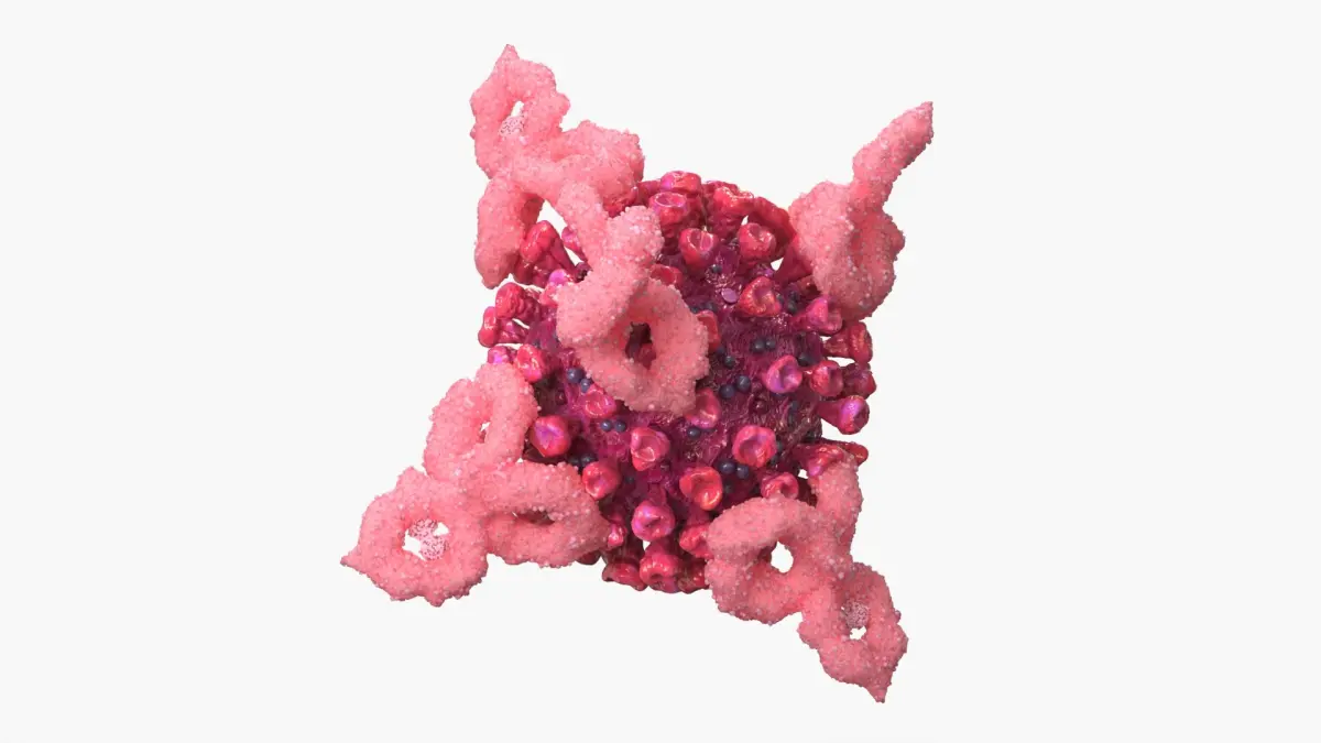 Immunology Virus with Antibodies Interaction Pink 3D model