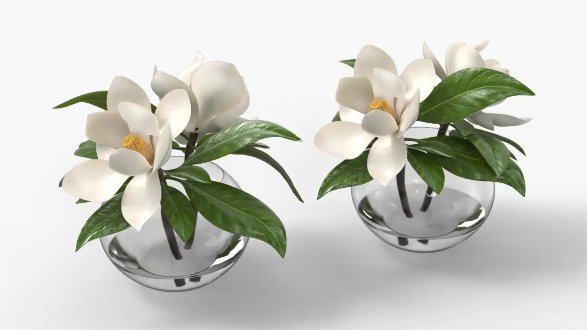 Transparent Glass Vase with White Magnolia Flowers 3D model