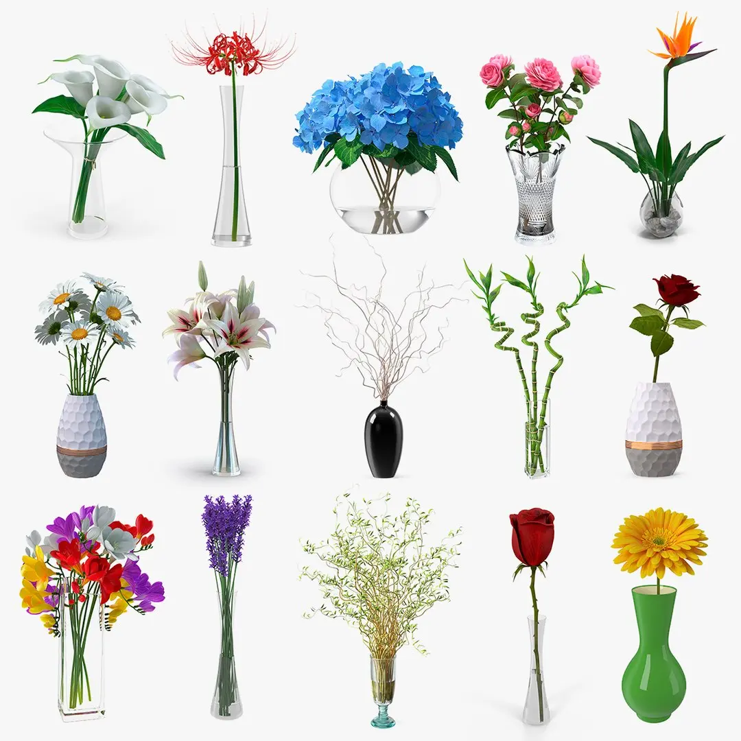 Flowers in Vases Collection 8 3D model