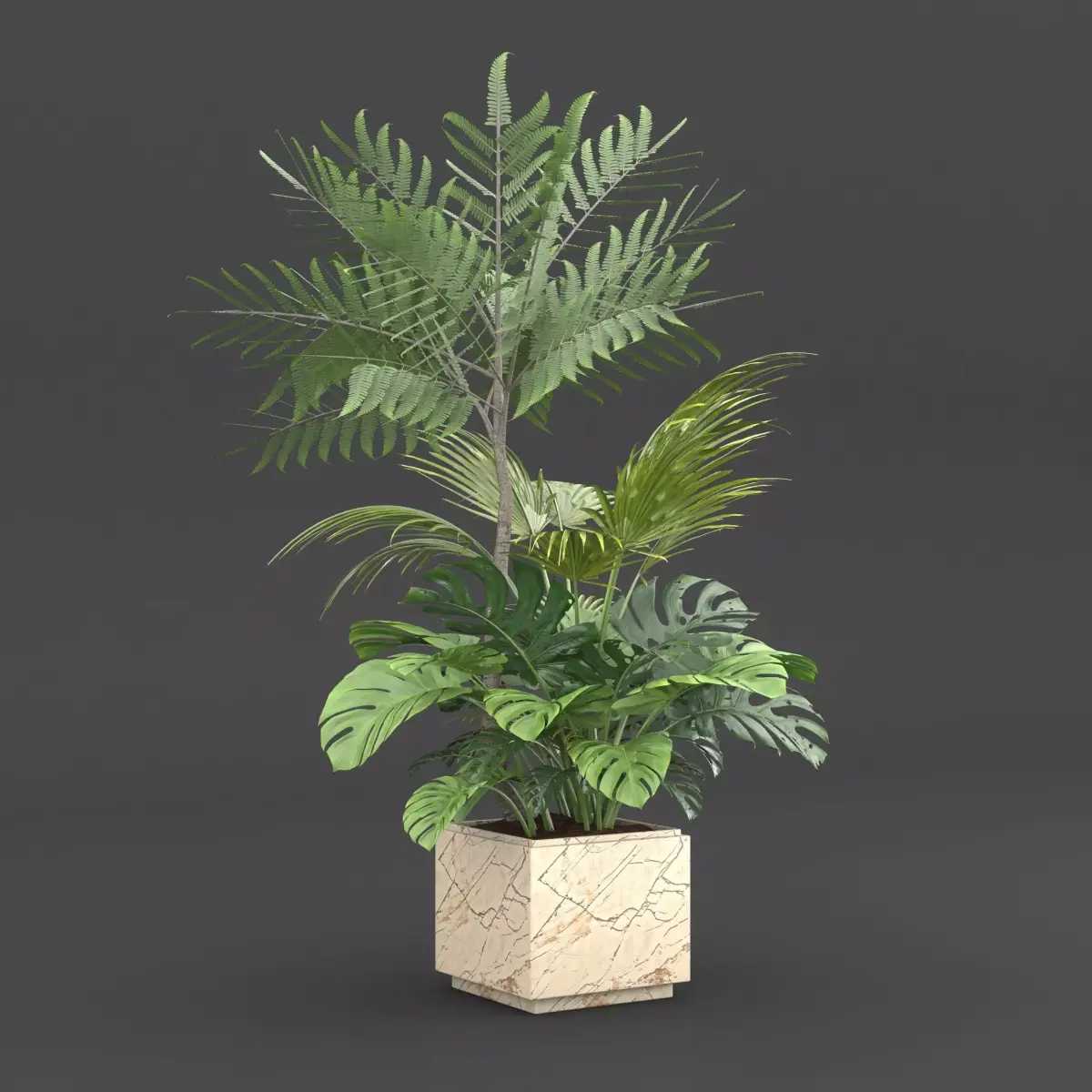 Indoor Plants Set 02 Free 3D model