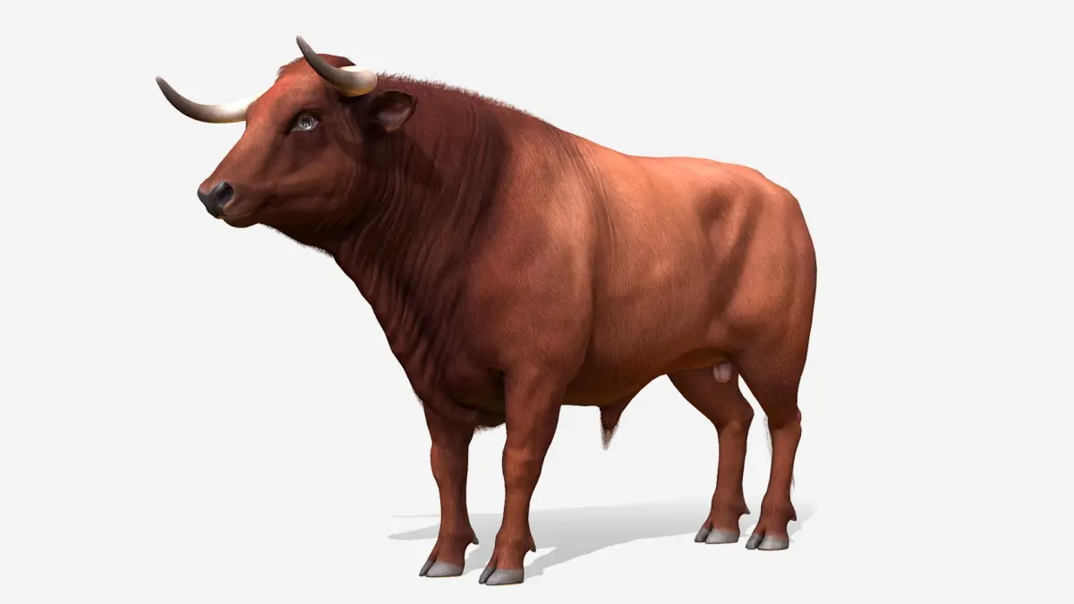 Bull 3D model