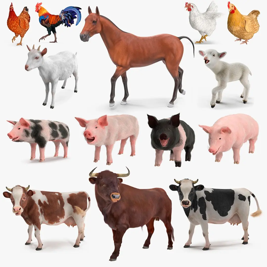Rigged Farm Animals Big Collection 3 for Maya 3D model