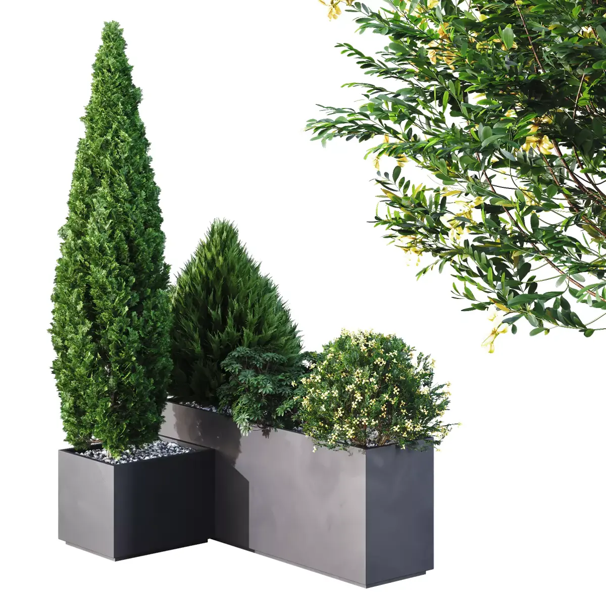 HQ Tree and bush garden box outdoor VOL 04 Free 3D model